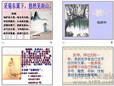 无锡马拉松,都在迫不,无锡马拉松 及待绽放对春的热情