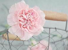 山东大学远程教育校,枣庄远程继续教育 外学习中心有哪几家