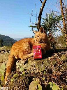 湘阴县教育局湘阴县教育局,对当时湘阴县155所中小学及97所幼儿园