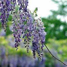 准考证打印入口,4500中考英语作文_中国科普博览网