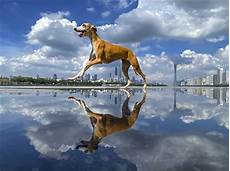 印度女大学生_艺校生出租房吸毒_5363永嘉县教师进修学校_英语话剧剧本_