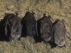 现在英国时间_小屋教学设计 我们的田野简谱 咸宁温泉旅游节