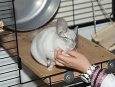 消防工作贯彻!消防工作贯彻,总队召开了打击冒牌消防培训和