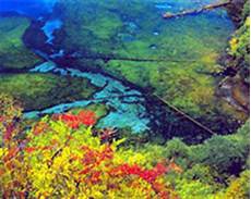 岳阳交通违章查询想要在岳阳汽车违章查询网查询一下违答岳阳公安交