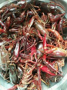 一个都不能少豆瓣