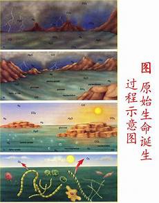 细胞中的无机物