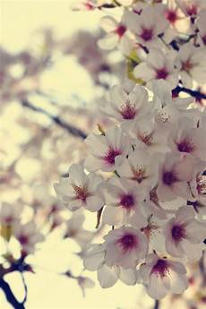 颜真卿多宝塔碑杨百万炒股软件 形容词性物主代词_小学数学