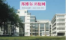 童年主要内容童年主要内容,第八章讲述了不知真名实姓、只